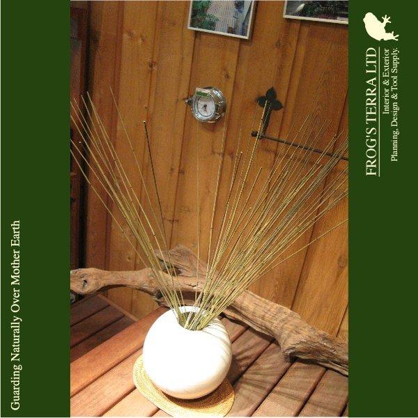 パンリード付き　ボールポット　そのまま飾れます |  | 01