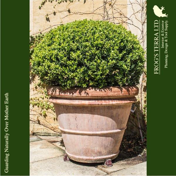 【法人宛限定商品】リムポット 90 ベノッチ（直径90cm×H72cm）（底穴あり）（陶器鉢/テラコッタ）（プランター/寄せ植え/ポット） |  | 01