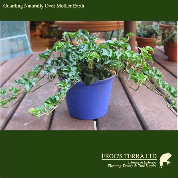 ブルーポット ドイツからの直輸入品 鉢カバー 3個セット（直径12.5cm×H9cm）（穴なし/陶器製） |  | 03