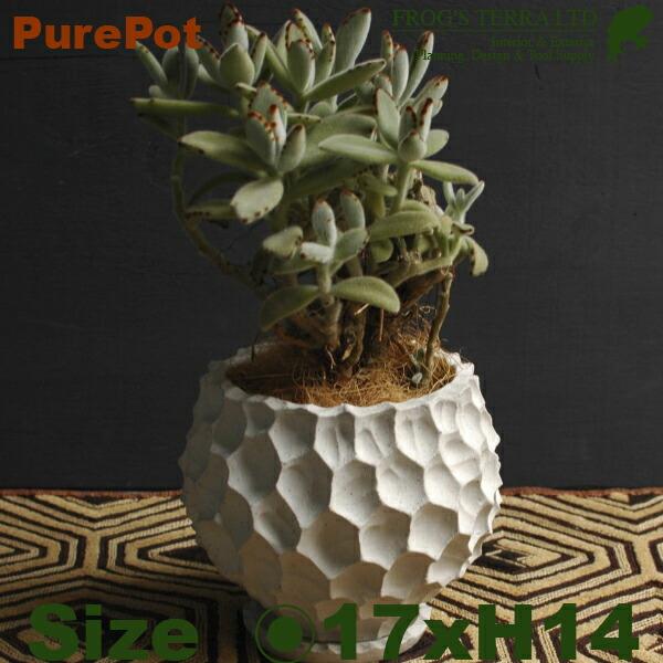 Pure Pot C2305（直径17cm×H14cm/6号）（底穴あり/受皿付）（陶器製）（プランター/ポット） |  | 01