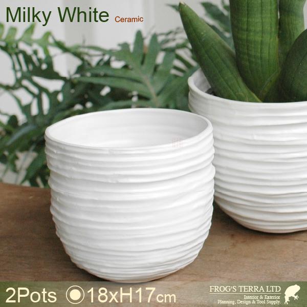 WLラウンドS 2個セット C3324（直径18cm×H17cm）（底穴なし）（陶器製）（プランター/ポット） | 