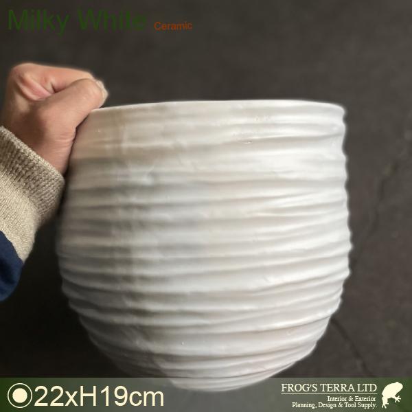WLラウンドM・C3325（直径22cm×H19cm）（底穴なし）（陶器製）（プランター/ポット）（観葉鉢/園芸） | 