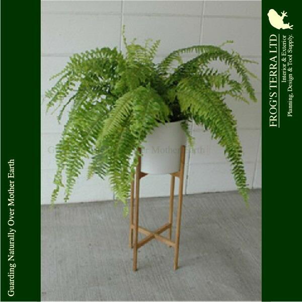 クロススタンドポット C3330（直径23cm×H21.5cm）（底穴なし）（陶器製）（木スタンド付セット）（プランター/ポット） |  | 03