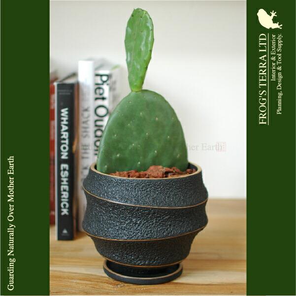 【屋外対応】Lava Pot C7332（直径19cm×H16cm）（底穴あり/受皿付）（陶器製）（プランター/サボテン/多肉/寄植/観葉鉢） |  | 02
