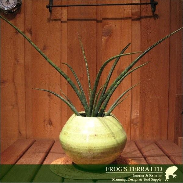 アンティークカラード丸鉢  M  同色２個セット  C9385（直径20cm×H15cm）（底穴なし）（植木鉢/鉢カバー）（陶器製）（プランター）（園芸） |  | 02