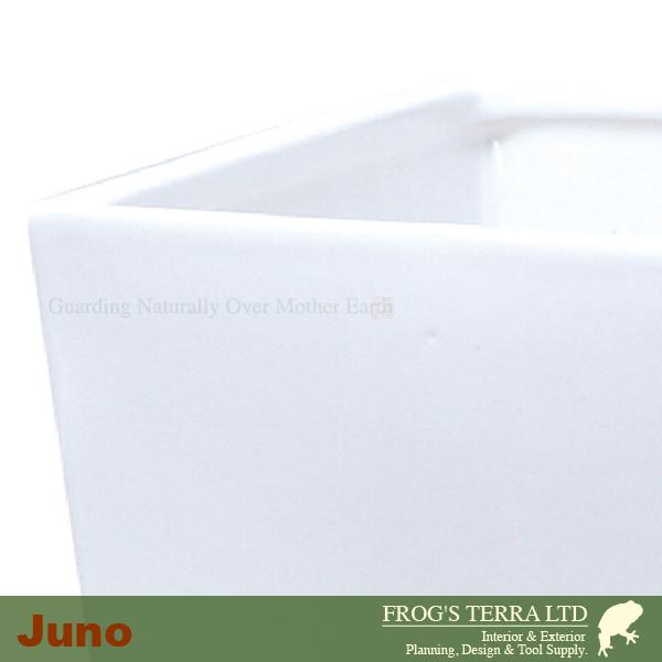 ジュノー MS 白 Wh 同サイズ6個セット（ロ12.5cm×H21.5cm）（底穴有/受皿付）（陶器製）（観葉鉢） |  | 01