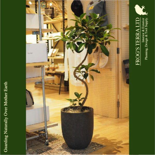 【屋外対応】GP Bias ビアス アルトエッグ 43（直径43cm×H50cm）（底穴あり）（10号可）（高耐久ポリストーン/FRP） |  | 04