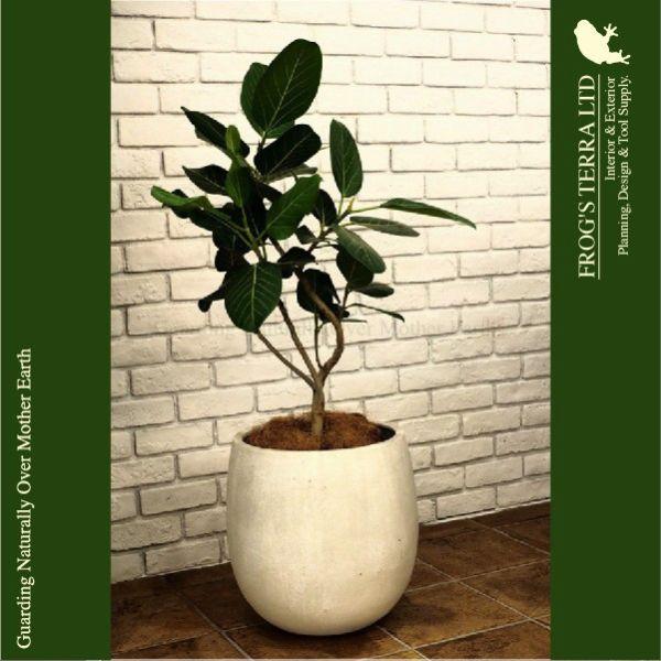 【屋外対応】GP Terranias テラニアス バルーン  35（直径35cm×H34cm）（底穴あり）（8号可）（FRP製）（耐寒 耐候 軽量） |  | 02