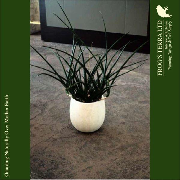 【屋外対応】GP Terranias テラニアス バルーン  35（直径35cm×H34cm）（底穴あり）（8号可）（FRP製）（耐寒 耐候 軽量） |  | 05
