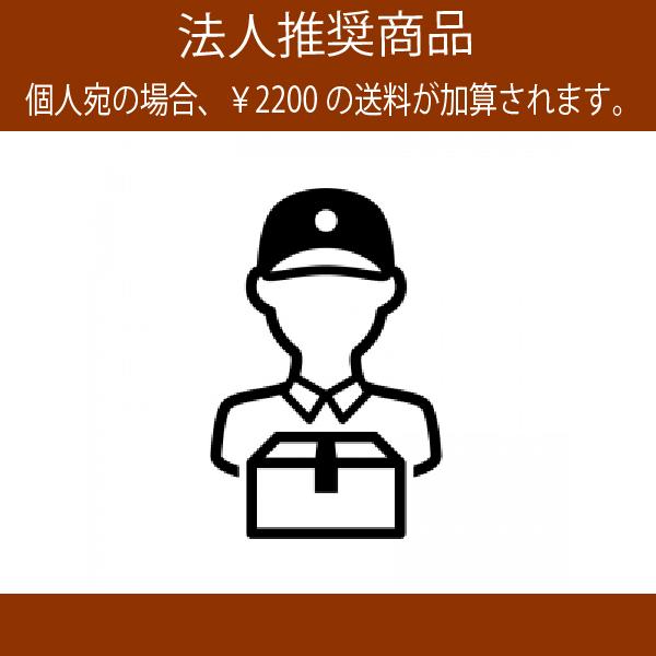 EC EC75A 鉄製 フラワーベース 花器 鉄器（直径60cm×H54cm）（底穴なし）（鉄製）（壺/鉢） |  | 06