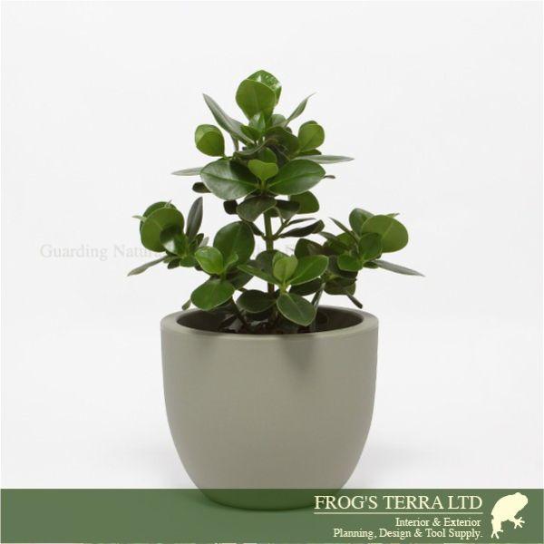 ユーロスリープラスト エトリア 54 ER-2320 (直径54cm×H44cm）（euro3plast/Etria）（ポリエチレン樹脂）（プランター/鉢カバー/ポット）の画像