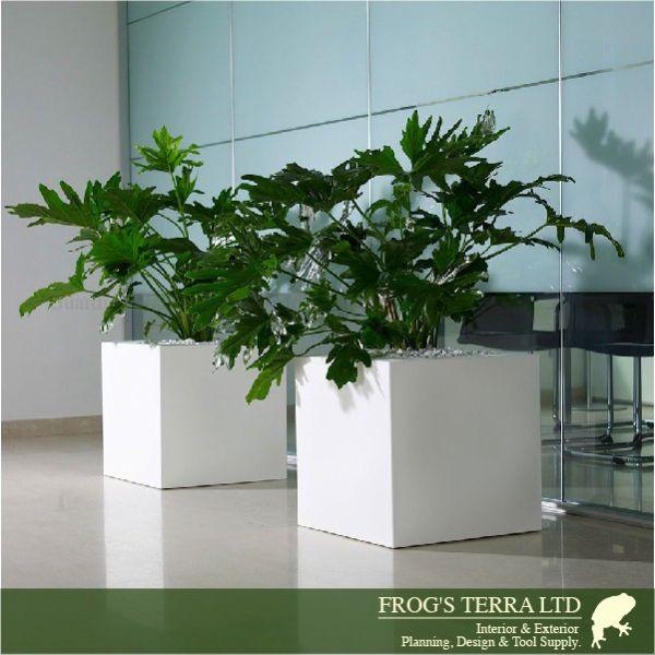 ユーロスリープラスト  キューブ  Cube  50  ER-2515  (ロ50cm×H50cm）（euro3plast/イタリア製）（ポリエチレン樹脂）（プランター/鉢カバー）の画像