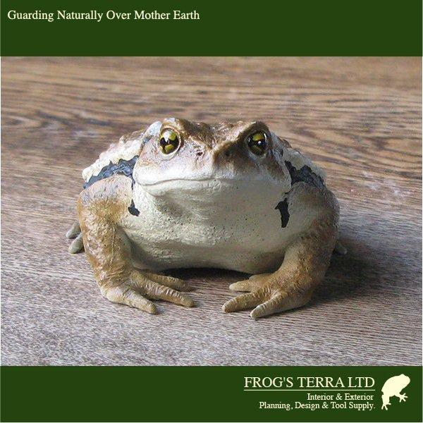 オリジナル　カエル　フィギュア　モデラー作品 送料別途 |  | 01