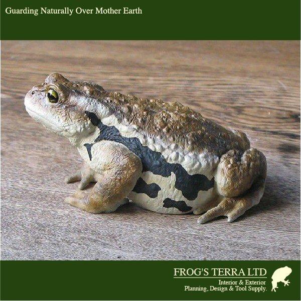 オリジナル　カエル　フィギュア　モデラー作品 送料別途 |  | 02