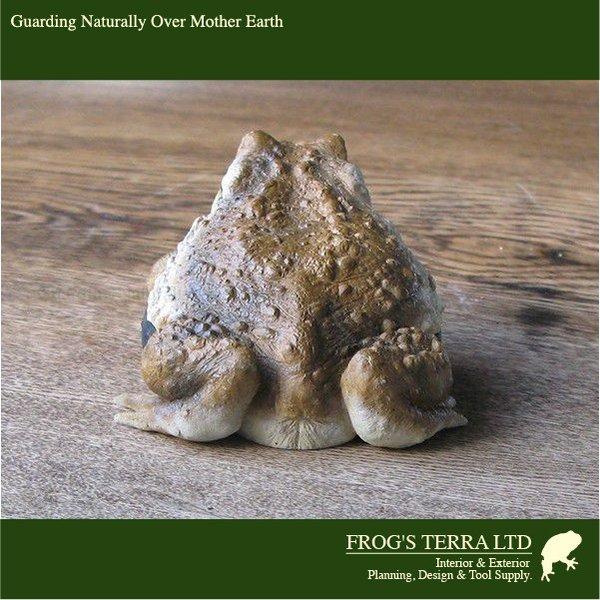 オリジナル　カエル　フィギュア　モデラー作品 送料別途 |  | 03