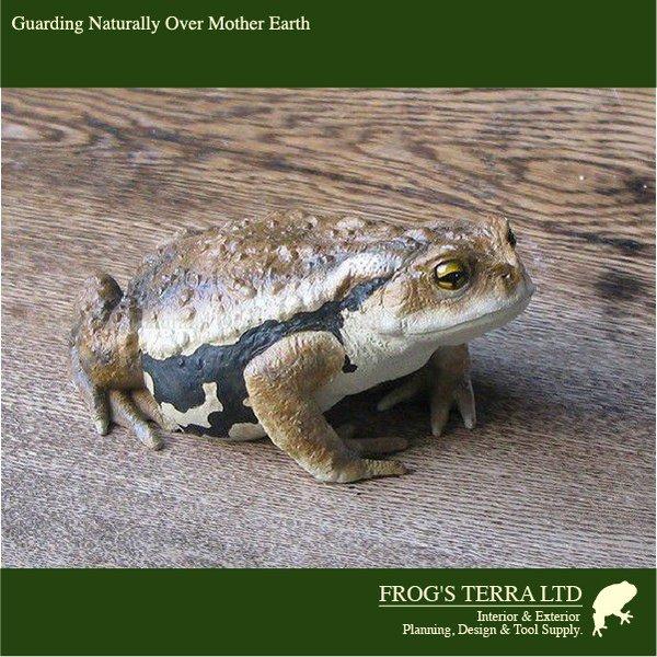 オリジナル　カエル　フィギュア　モデラー作品 送料別途 |  | 04