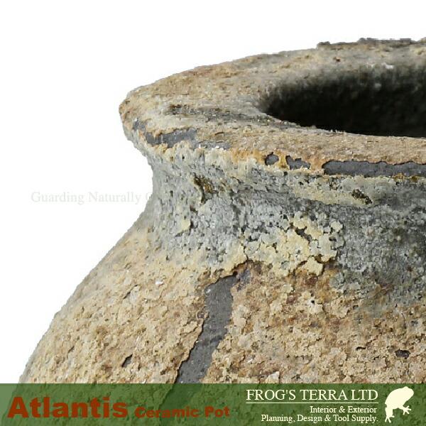 MM アトランティスティーベス  FS6394AD  Atlantis（直径25cm×H30cm）（底穴なし/あり）（陶器製）（観葉鉢） |  | 01