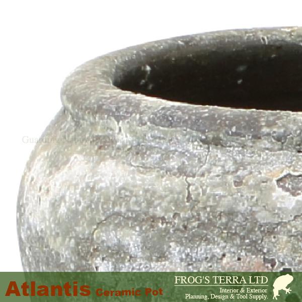 超人気新品 チューリッププランターs Atlantis丸壺型 直径30cm H24cm 底穴有 陶器製 観葉鉢 Fs6854ad2s プランター Www Maketheleapcoaching Com