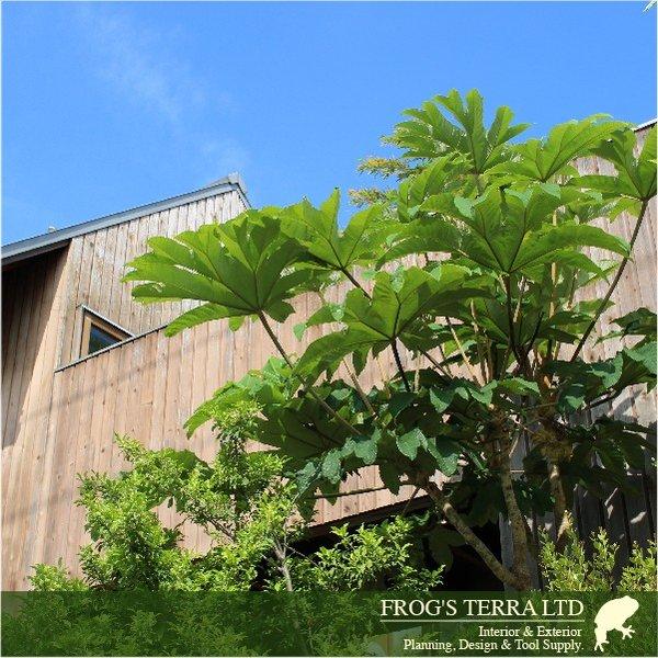 ガーデンデザインの提案  神奈川県 東京都他関東エリアの方 代表設計責任者が現場打ち合わせに伺います！ | 