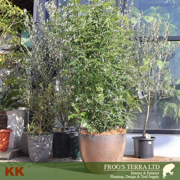 KK ハイラウンド M（直径50cm×H58cm）（穴あり）陶器製 観葉鉢 大型ポット 商業施設 |  | 01