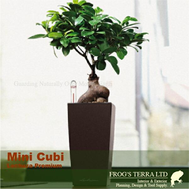 【屋外対応】MB Mini Cubi ミニキュービ（ロ9cm×H18cm）底面潅水 PP Lechuza レチューザ 商業施設 |  | 03