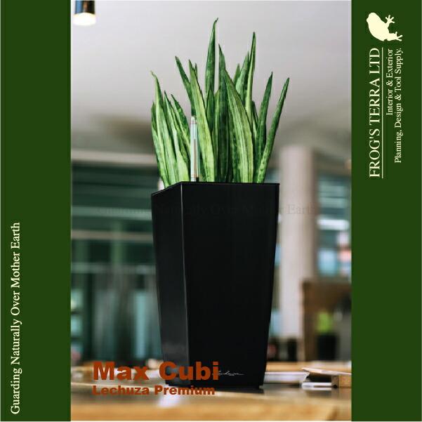 Max Cubi マックスキュービ(ロ13.5cm×H26.5cm）底面潅水 PP Lechuza レチューザ 商業施設 |  | 04