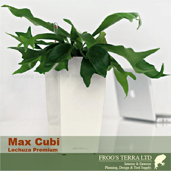 Max Cubi マックスキュービ(ロ13.5cm×H26.5cm）底面潅水 PP Lechuza レチューザ 商業施設 |  | 05