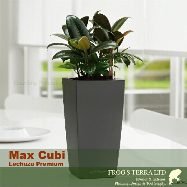 Max Cubi マックスキュービ(ロ13.5cm×H26.5cm）底面潅水 PP Lechuza レチューザ 商業施設 |  | 06