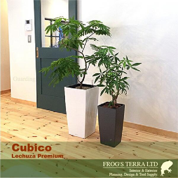MB Cubico キュービコ30(ロ30cm×H56cm）底面潅水 PP Lechuza レチューザ 商業施設 |  | 01