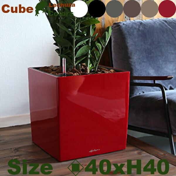 MB Cube Premium キューブ プレミアム 40(ロ40cm×H40cm）底面潅水 PP Lechuza レチューザ 商業施設 | 