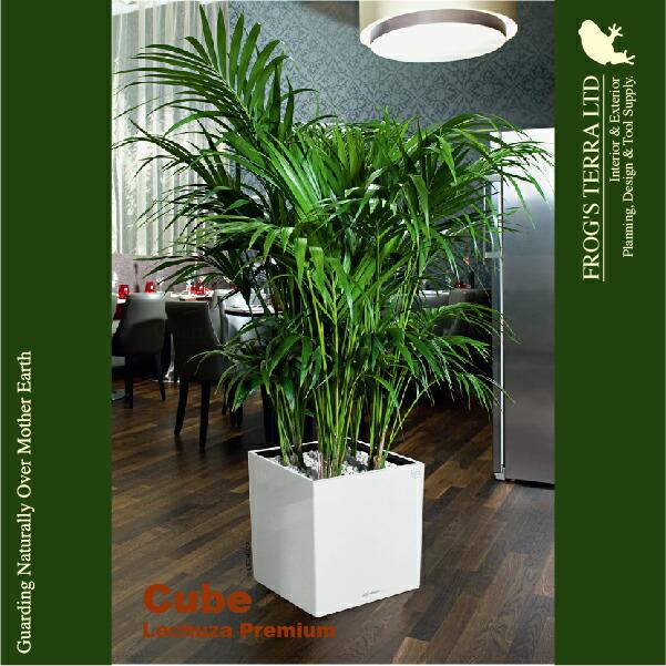 MB Cube Premium キューブ プレミアム 40(ロ40cm×H40cm）底面潅水 PP Lechuza レチューザ 商業施設 |  | 04