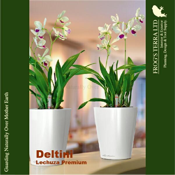 MB Deltini デルティーニ(直径14cm×H18cm）底面潅水 PP Lechuza レチューザ 商業施設 |  | 02