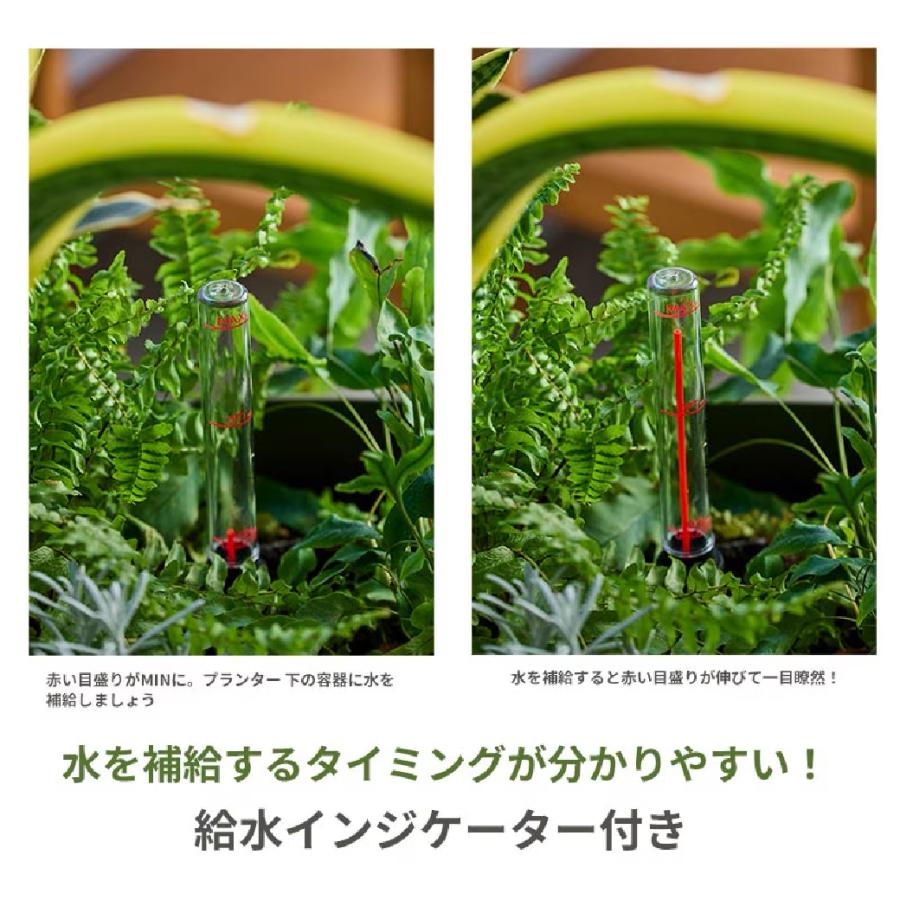 AP 脚付プランター トール Plastia（W50xD38xH77cm）（底面自動給水）便利な給水インジケーター付 |  | 03