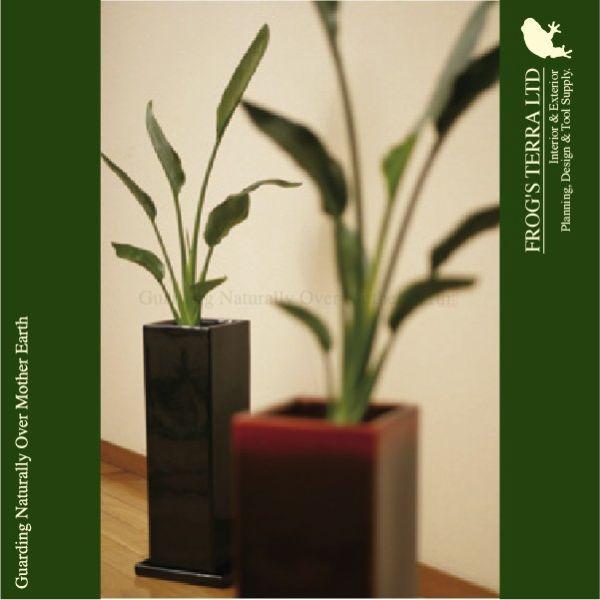 ミッドリア 白/黒/緑 L S009Wh/MB/TG（ロ20cm×H70cm）（底穴あり/受皿付）（陶器製）（観葉鉢） |  | 06