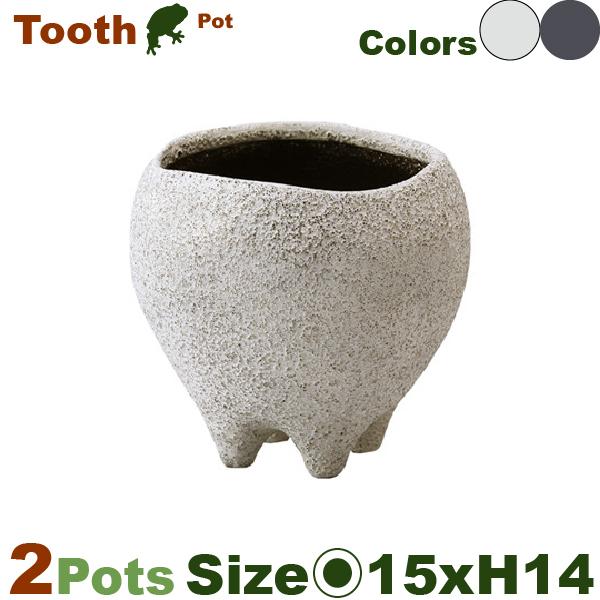 MM Tooth Pot M 同色2個セット（直径15.5cm×H14.5cm）（底穴あり）（陶器製）（歯科医院/盆栽/多肉/花の里） | 