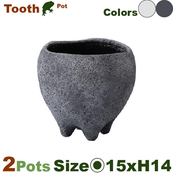 MM Tooth Pot M 同色2個セット（直径15.5cm×H14.5cm）（底穴あり）（陶器製）（歯科医院/盆栽/多肉/花の里） |  | 01
