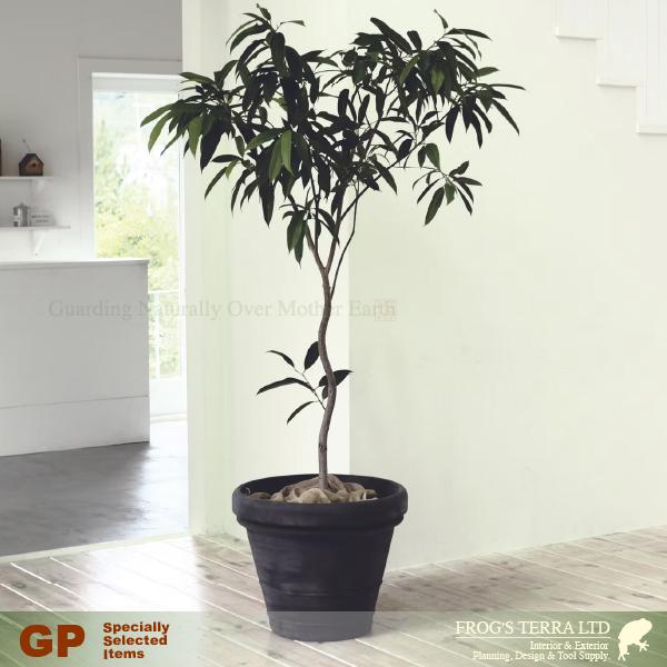 GP ボルドー TP-TM50 GR/TC 超軽量タイプ（尺鉢対応）（直径50cm×H43cm）（ポリエチレン）プランター ポット 観葉鉢 園芸 商業施設 |  | 02