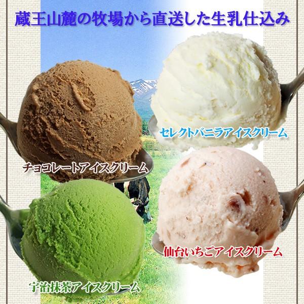 フロム蔵王 業務用 アイスクリーム Hybridマルチアイス