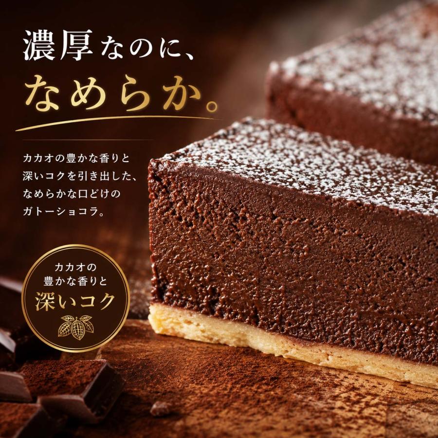 冷凍品】ガトーショコラ ビッグ 業務用 濃厚 チョコレートケーキ 大
