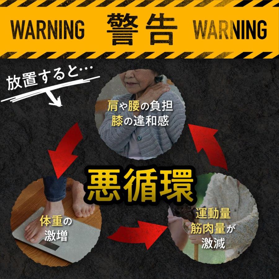 フロムココロ 【機能性表示食品】 肩こり 腰痛 膝 サプリ オモニストン