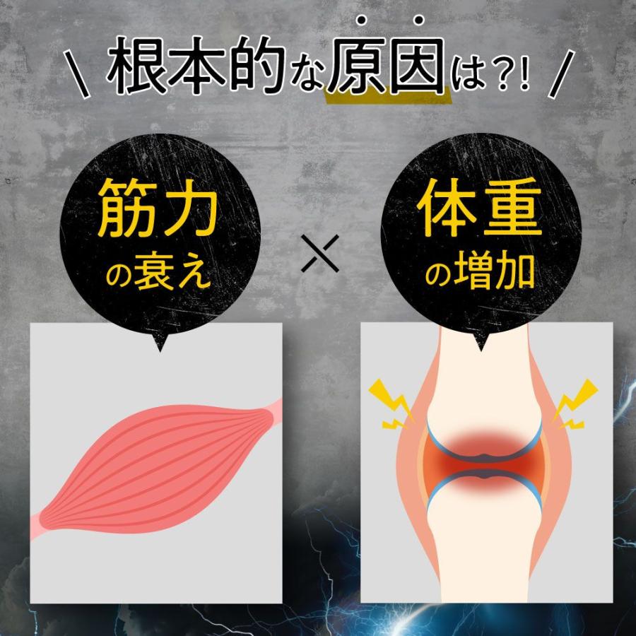 腰痛サプリ オモニストン 10日分 × 2袋 Amazon.co.jp: オモニストン [ 肩・腰・膝をトリプルケア ] 機能性食品