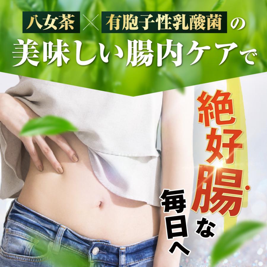 フロムココロ 気になる脂肪・体重に 機能性表示食品 するるん フロムココロ 気になる脂肪・体重に 機能性表示食品 するるん