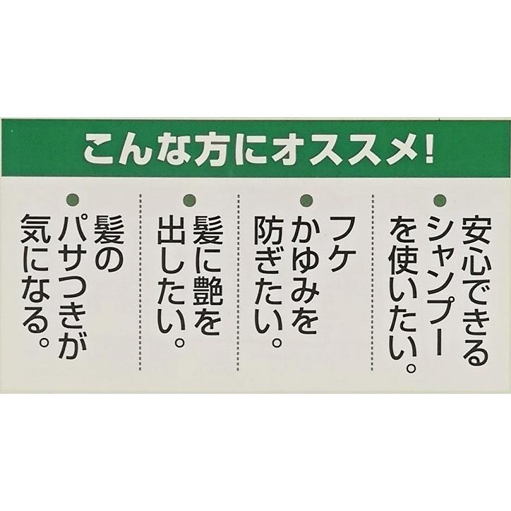 フローラ 夢見るシャンプー300ml 3個 Flora : 緑の毎日 - 通販