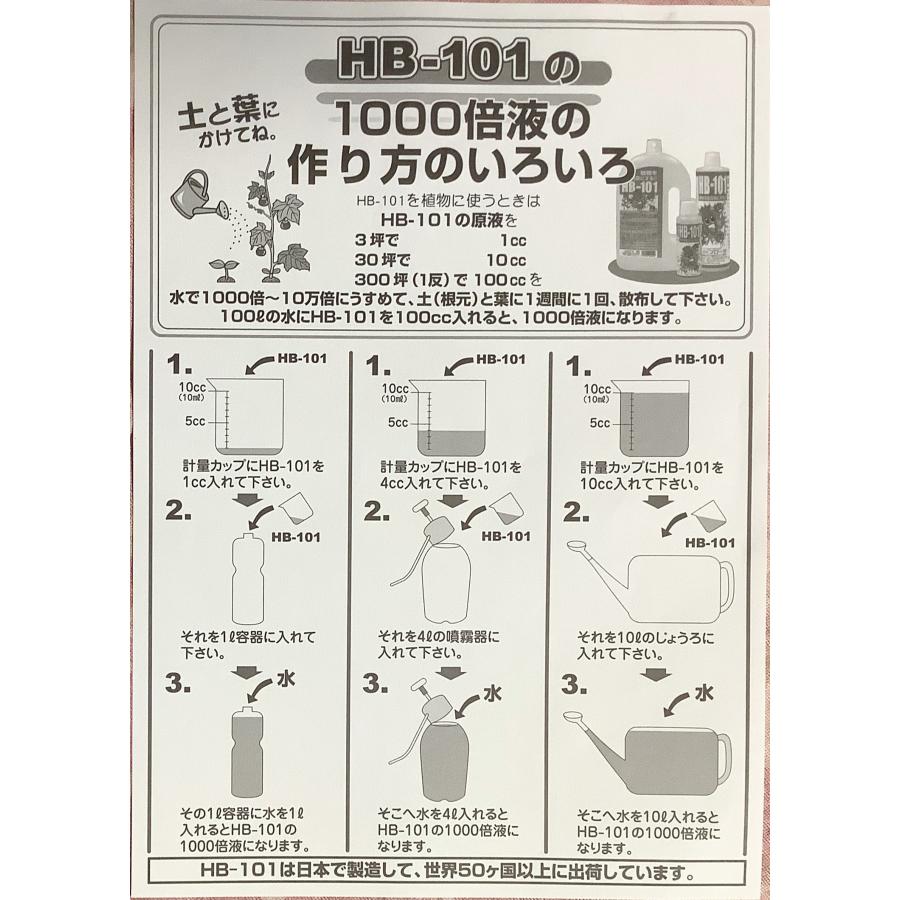 HB-101 フローラ 植物活力剤 100cc　原液｜fromg｜05