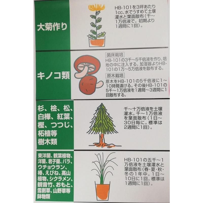 HB-101 植物活力剤 原液 500cc 1個 フローラ : hb-101g500cc1 : 緑の