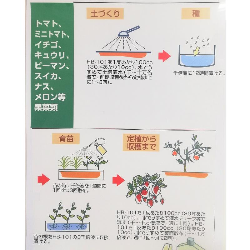 フローラ HB-101 植物活力液 100cc 3本セット 合計300cc Flora : 緑の