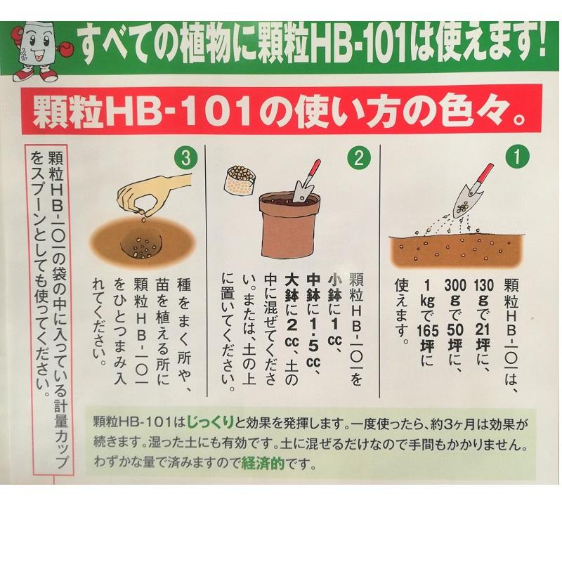 フローラ 顆粒 HB-101 300g 植物活力剤 1個 Flora : 緑の毎日 - 通販