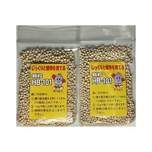 フローラ そのまま使えるHB-101 500cc と顆粒10g2個付き 1000倍