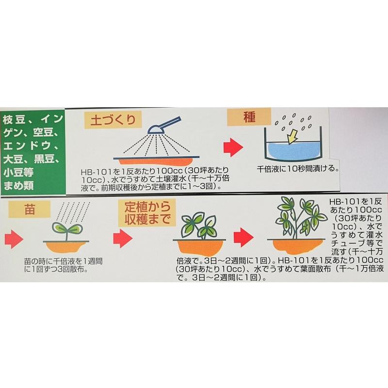 そのまま使えるHB-101　500cc　と顆粒10g2個付き　1000倍希釈活力液　フローラ　スプレー｜fromg｜06