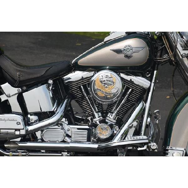 ハーレーダビッドソン Harley Davidson ヴィンテージ ハーレーダビッドソン 1996年 ソフテイル FLSTN アメリカ買付 バイク車体 :hd-flstn-1996:フロムLA 通販 ハーレー バイク 価格 S&Sサイクル570ギアドライブカムキット用Harley Davidson 1999-2006 Twin Cam Mod ハーレー バイク ハーレー バイク 中